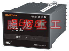 溫度表、數(shù)字顯示儀、濕度表
